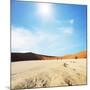 Dead Valley in Namibia-Andrushko Galyna-Mounted Photographic Print