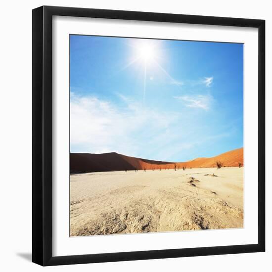 Dead Valley in Namibia-Andrushko Galyna-Framed Photographic Print