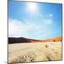 Dead Valley in Namibia-Andrushko Galyna-Mounted Photographic Print