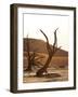 Dead Valley in Namibia-Andrushko Galyna-Framed Photographic Print