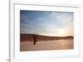 Dead Valley in Namibia-Andrushko Galyna-Framed Photographic Print