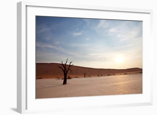 Dead Valley in Namibia-Andrushko Galyna-Framed Photographic Print