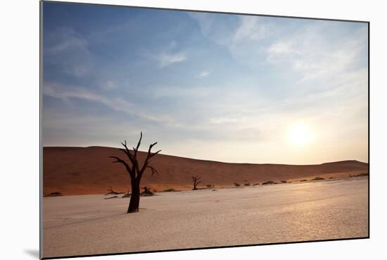 Dead Valley in Namibia-Andrushko Galyna-Mounted Photographic Print