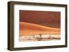 Dead Valley in Namibia-Andrushko Galyna-Framed Photographic Print