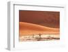 Dead Valley in Namibia-Andrushko Galyna-Framed Photographic Print