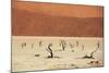 Dead Valley in Namibia-Andrushko Galyna-Mounted Photographic Print