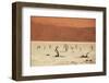 Dead Valley in Namibia-Andrushko Galyna-Framed Photographic Print