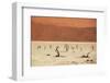 Dead Valley in Namibia-Andrushko Galyna-Framed Photographic Print