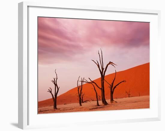 Dead Valley in Namibia-Andrushko Galyna-Framed Photographic Print