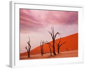 Dead Valley in Namibia-Andrushko Galyna-Framed Photographic Print