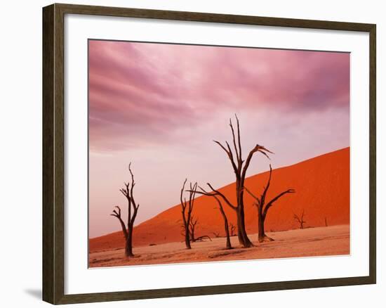 Dead Valley in Namibia-Andrushko Galyna-Framed Photographic Print