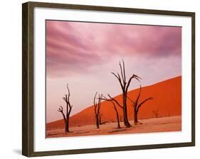 Dead Valley in Namibia-Andrushko Galyna-Framed Photographic Print