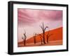 Dead Valley in Namibia-Andrushko Galyna-Framed Photographic Print