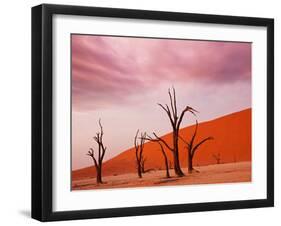 Dead Valley in Namibia-Andrushko Galyna-Framed Photographic Print