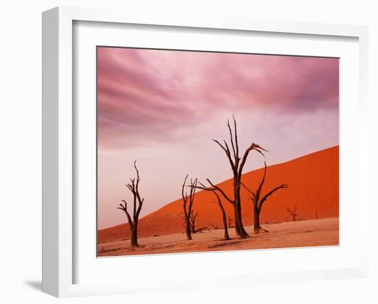 Dead Valley in Namibia-Andrushko Galyna-Framed Photographic Print