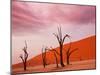 Dead Valley in Namibia-Andrushko Galyna-Mounted Photographic Print