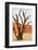 Dead Valley in Namibia-Andrushko Galyna-Framed Photographic Print