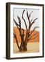 Dead Valley in Namibia-Andrushko Galyna-Framed Photographic Print