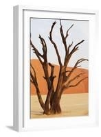 Dead Valley in Namibia-Andrushko Galyna-Framed Photographic Print