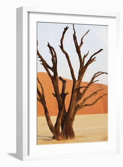 Dead Valley in Namibia-Andrushko Galyna-Framed Photographic Print