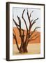 Dead Valley in Namibia-Andrushko Galyna-Framed Photographic Print