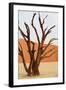 Dead Valley in Namibia-Andrushko Galyna-Framed Photographic Print