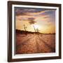 Dead Valley in Namibia-Andrushko Galyna-Framed Photographic Print