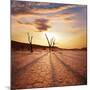 Dead Valley in Namibia-Andrushko Galyna-Mounted Photographic Print