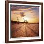 Dead Valley in Namibia-Andrushko Galyna-Framed Photographic Print