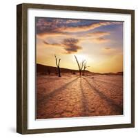 Dead Valley in Namibia-Andrushko Galyna-Framed Photographic Print