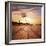 Dead Valley in Namibia-Andrushko Galyna-Framed Photographic Print