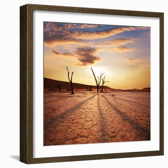 Dead Valley in Namibia-Andrushko Galyna-Framed Photographic Print