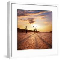 Dead Valley in Namibia-Andrushko Galyna-Framed Photographic Print