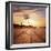 Dead Valley in Namibia-Andrushko Galyna-Framed Photographic Print