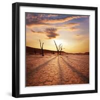 Dead Valley in Namibia-Andrushko Galyna-Framed Photographic Print