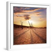 Dead Valley in Namibia-Andrushko Galyna-Framed Photographic Print