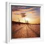 Dead Valley in Namibia-Andrushko Galyna-Framed Photographic Print