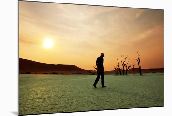 Dead Valley in Namibia-Andrushko Galyna-Mounted Photographic Print