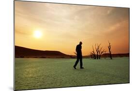 Dead Valley in Namibia-Andrushko Galyna-Mounted Photographic Print