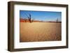 Dead Valley in Namibia-Andrushko Galyna-Framed Photographic Print