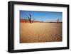 Dead Valley in Namibia-Andrushko Galyna-Framed Photographic Print