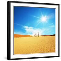 Dead Valley in Namibia-Andrushko Galyna-Framed Photographic Print