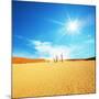 Dead Valley in Namibia-Andrushko Galyna-Mounted Photographic Print