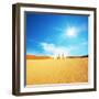 Dead Valley in Namibia-Andrushko Galyna-Framed Photographic Print