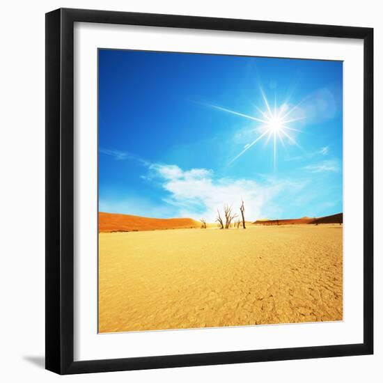 Dead Valley in Namibia-Andrushko Galyna-Framed Photographic Print