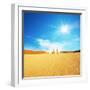 Dead Valley in Namibia-Andrushko Galyna-Framed Photographic Print