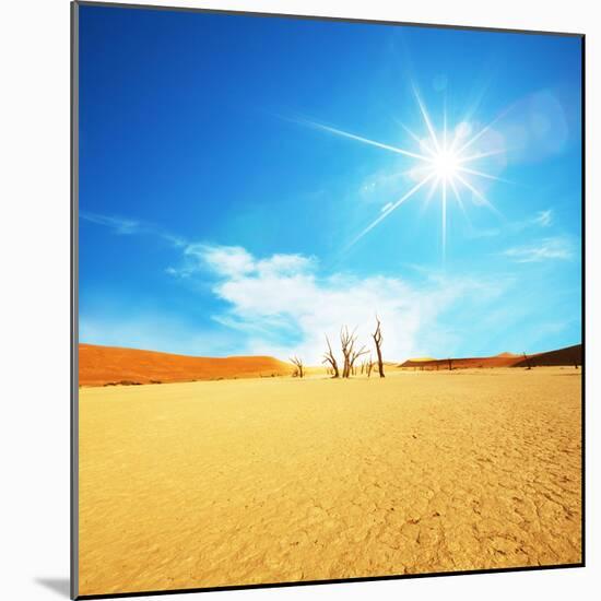 Dead Valley in Namibia-Andrushko Galyna-Mounted Photographic Print