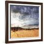 Dead Valley in Namibia-Andrushko Galyna-Framed Photographic Print