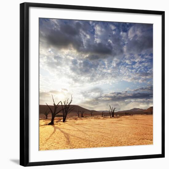 Dead Valley in Namibia-Andrushko Galyna-Framed Photographic Print