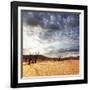 Dead Valley in Namibia-Andrushko Galyna-Framed Photographic Print